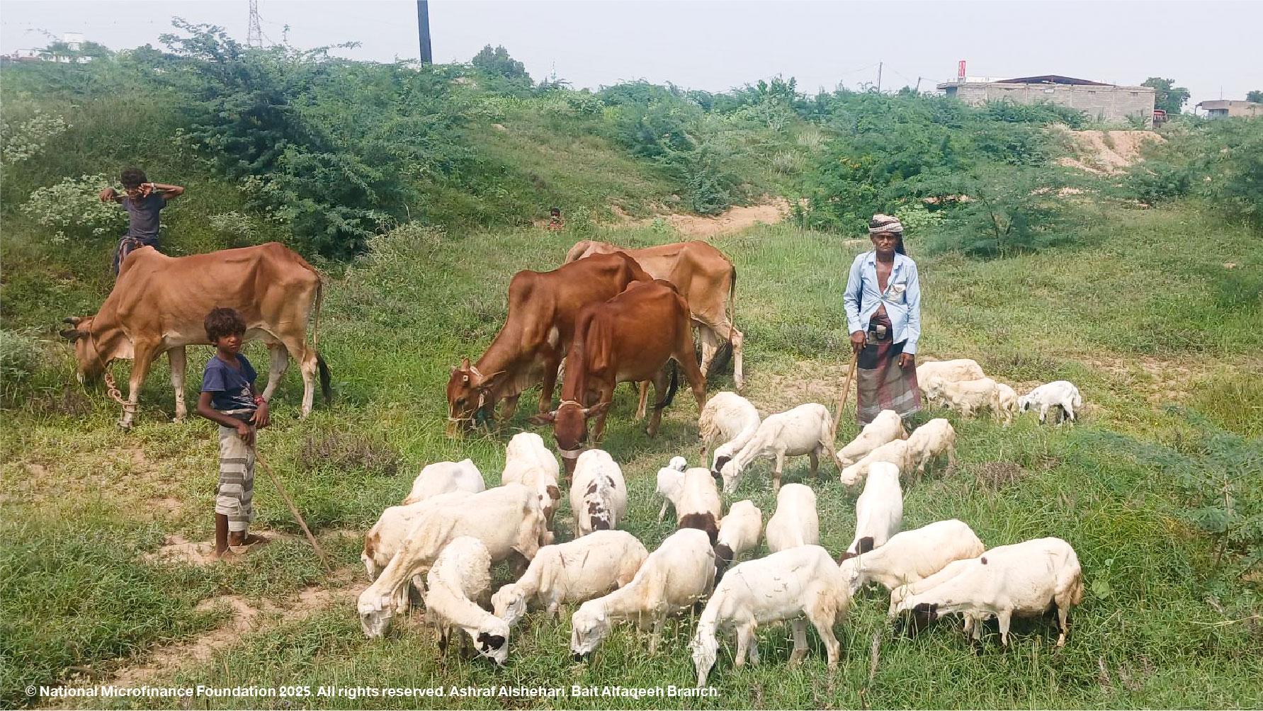 Borrow - Loan Company Website Template